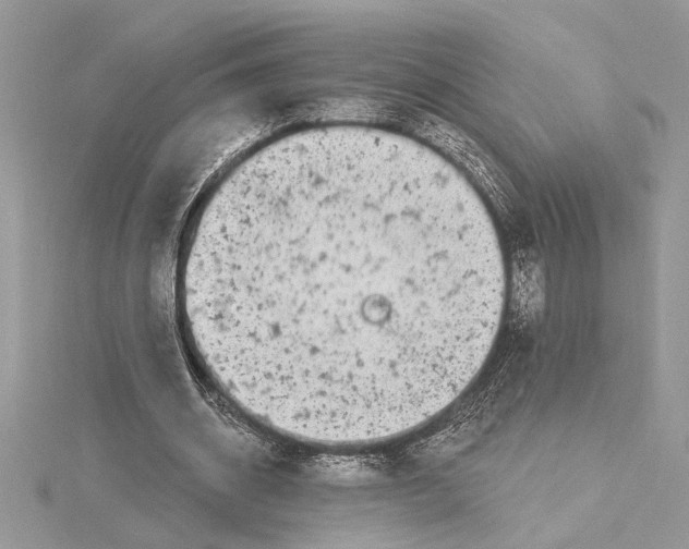 X0000115520534200912040931