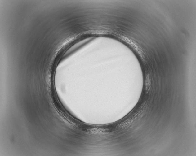 X0000115520535200912040931