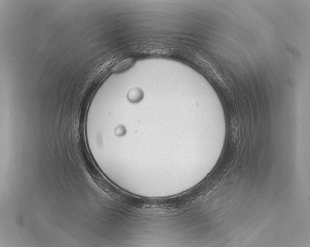 X0000115520538200912040931