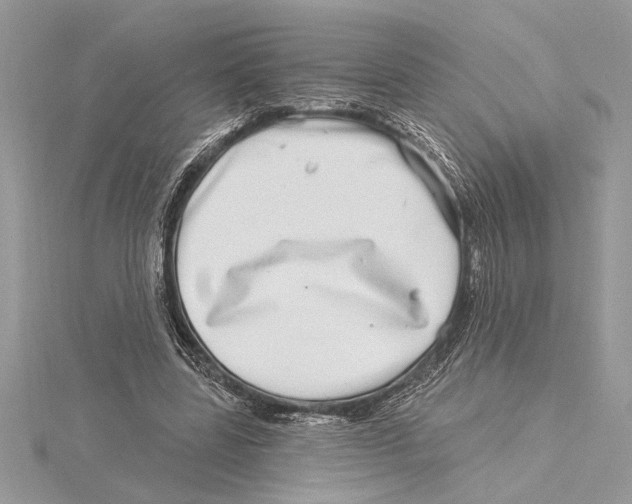 X0000115520539200912040931