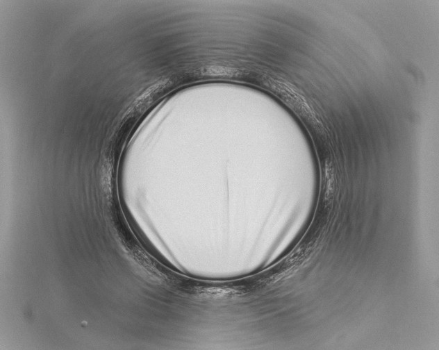 X0000115520542200912040931