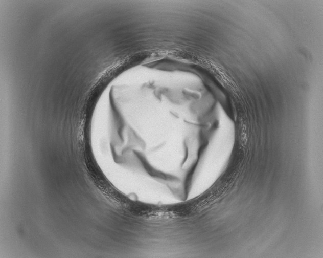 X0000115520543200912040931