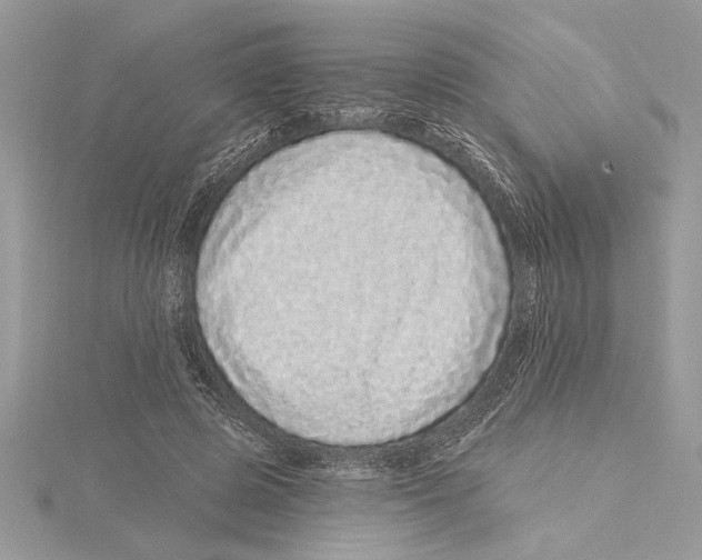 X0000115520545200912040931