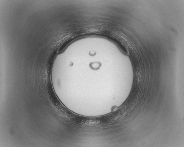 X0000115520546200912040931