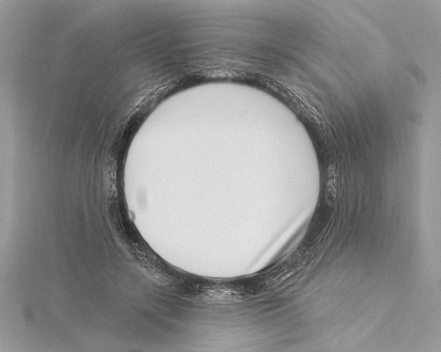 X0000115520547200912040931