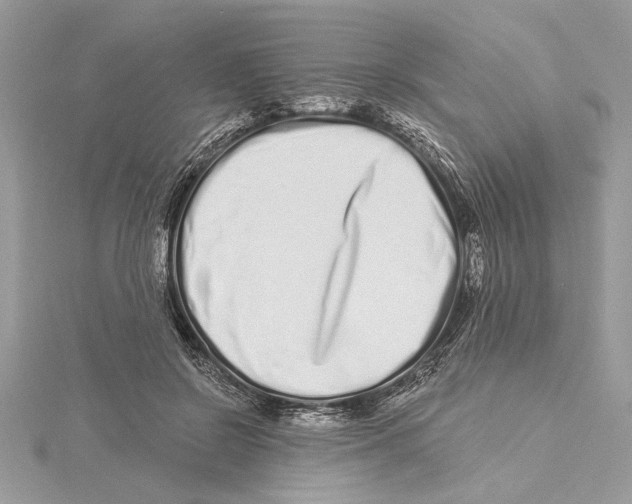 X0000115520550200912040931