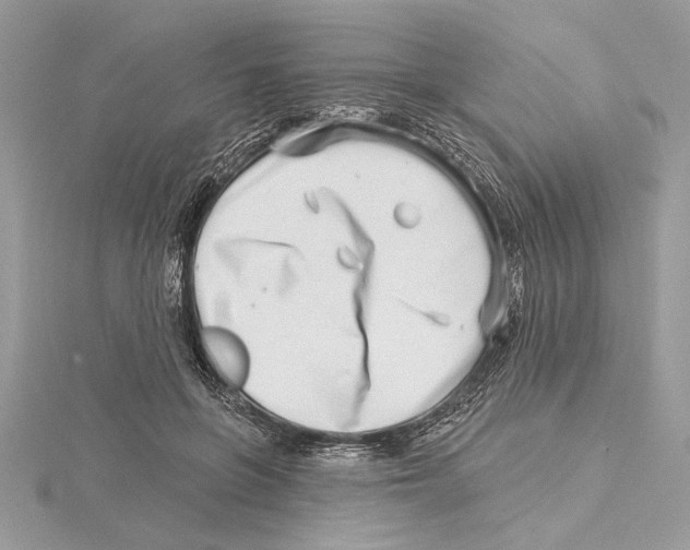 X0000115520551200912040931