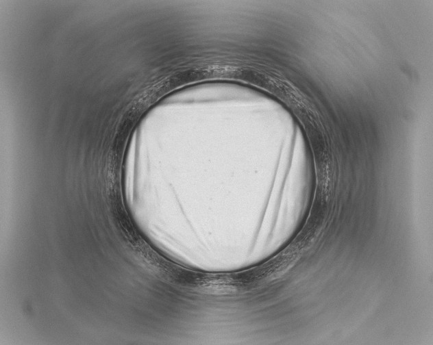 X0000115520553200912040931