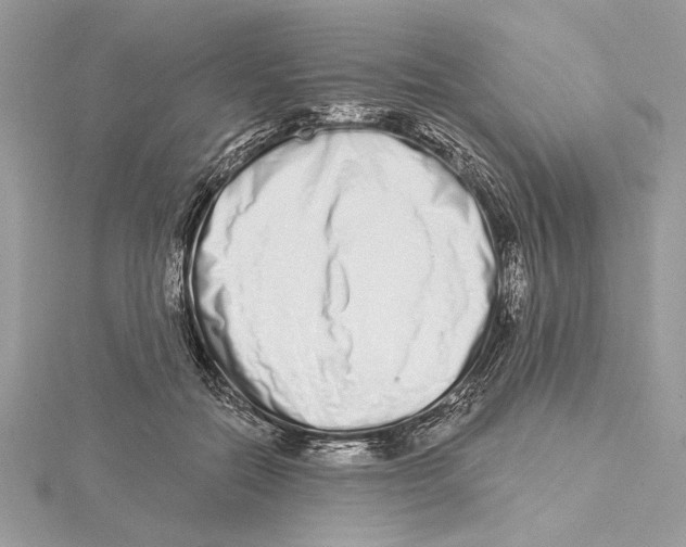 X0000115520554200912040931