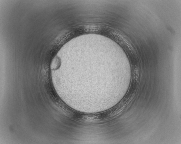 X0000115520557200912040931