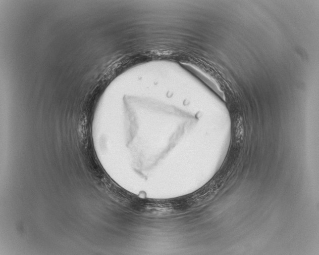 X0000115520559200912040931