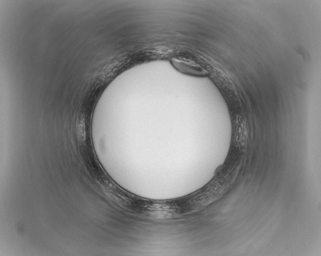 X0000115520562200912040931