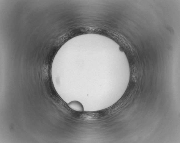 X0000115520563200912040931