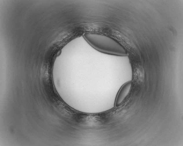 X0000115520566200912040931