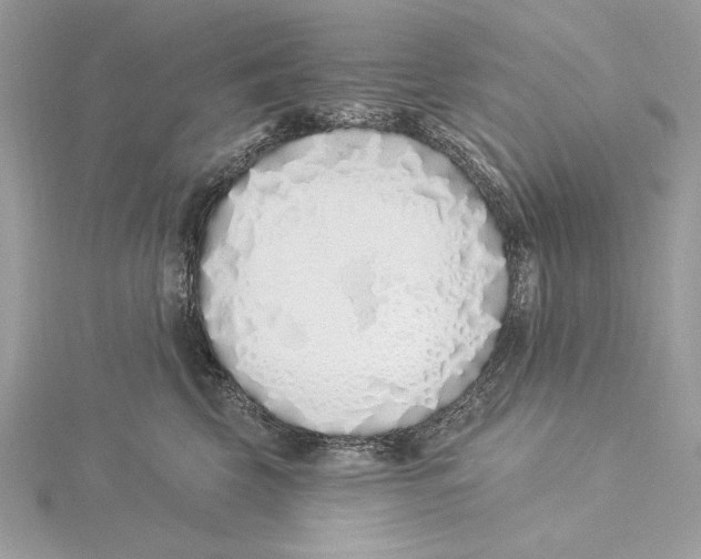 X0000115520569200912040931