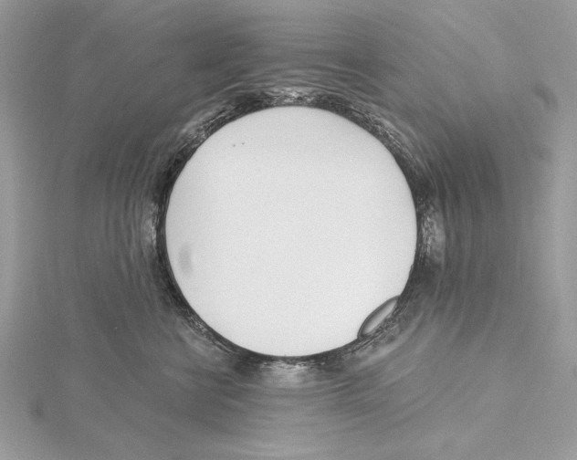 X0000115520570200912040931