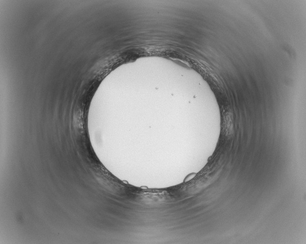 X0000115520571200912040931