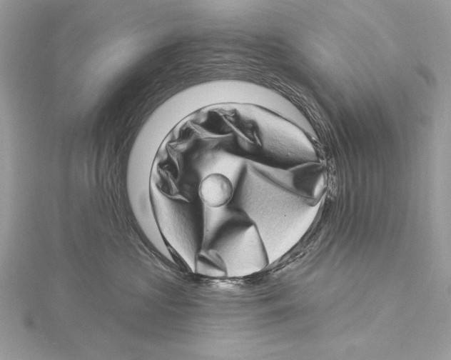 X0000115520573200912040931