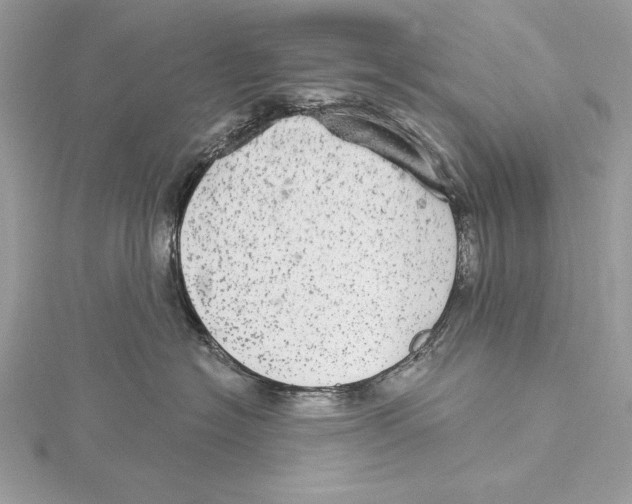 X0000115520574200912040931