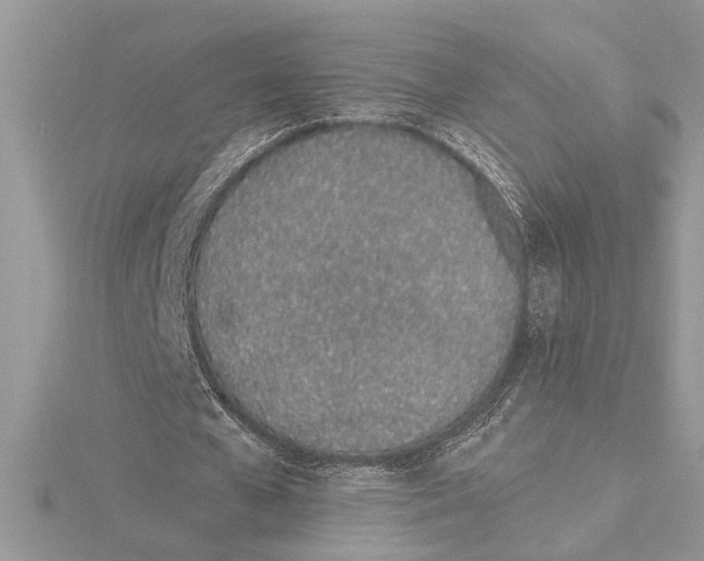 X0000115520577200912040931