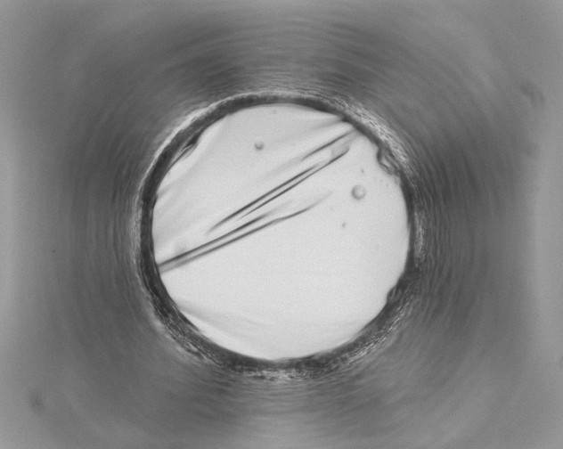 X0000115520580200912040931