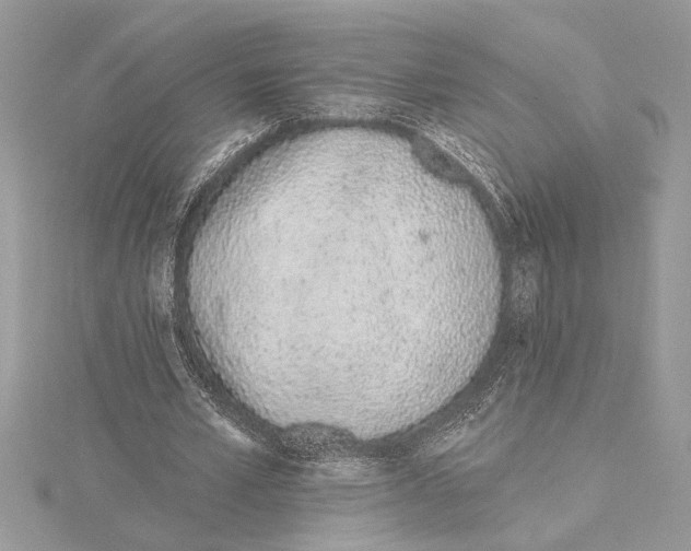 X0000115520581200912040931