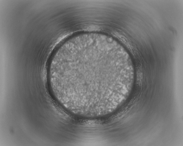 X0000115520584200912040930