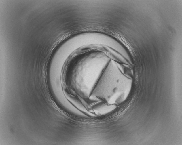 X0000115520585200912040930