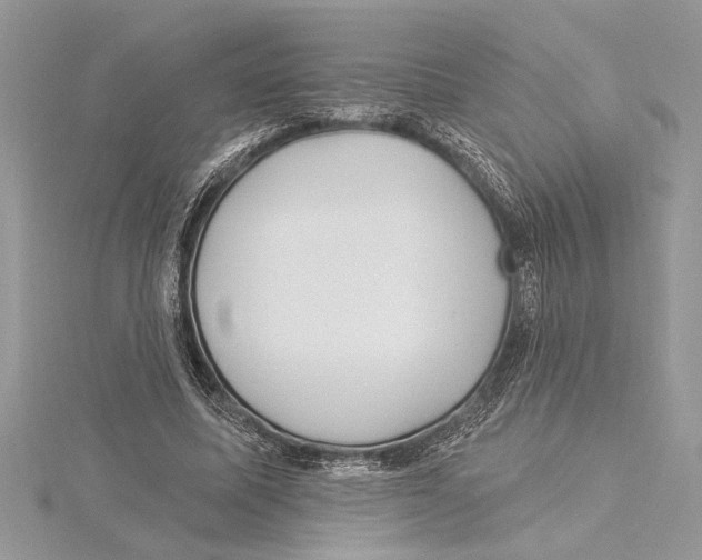 X0000115520587200912040930