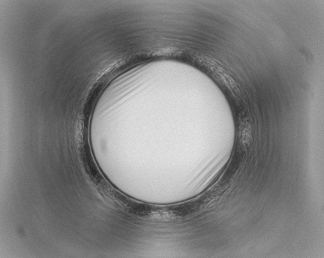 X0000115520591200912040930