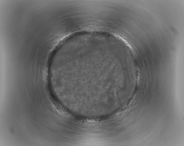 X0000115520592200912040930