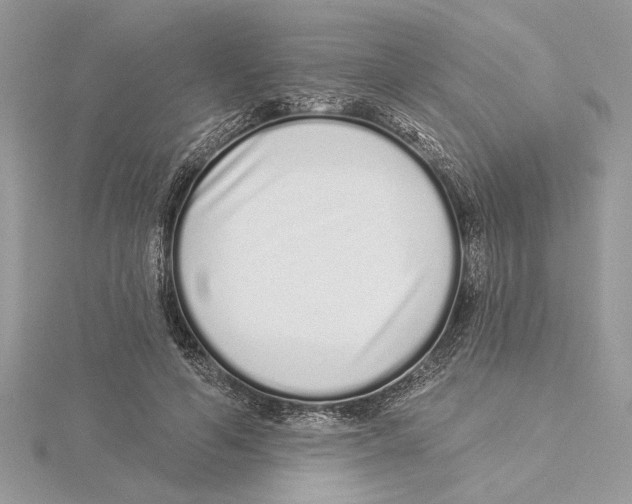 X0000115520594200912040930