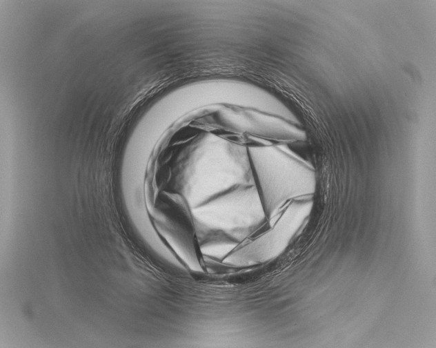 X0000115520595200912040930