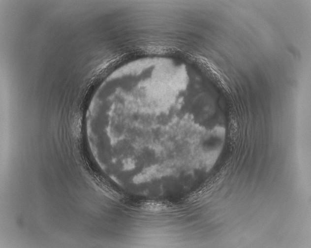 X0000115520596200912040930