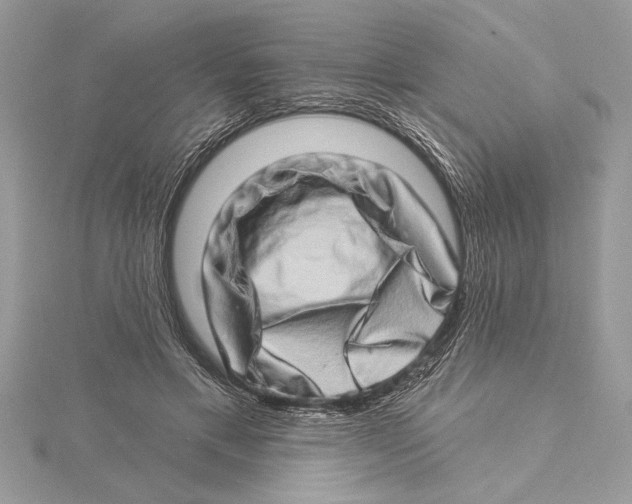 X0000115520597200912040930