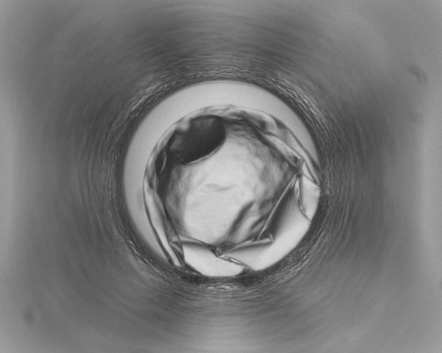 X0000115520599200912040930