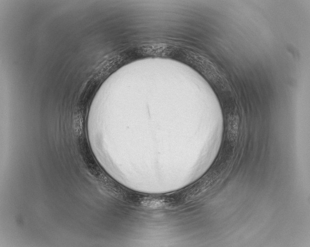 X0000115520602200912040930