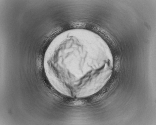 X0000115520604200912040930