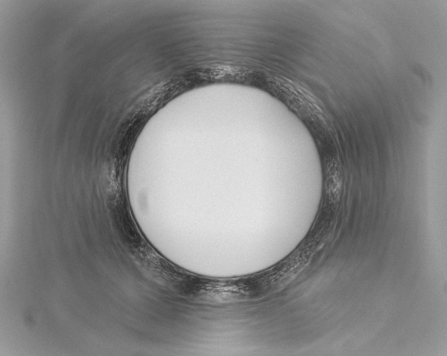 X0000115520607200912040930