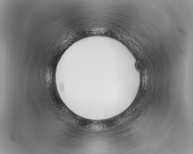 X0000115520608200912040930