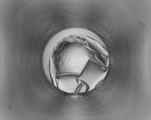 X0000115520611200912040930