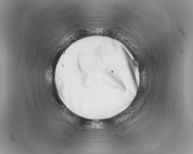 X0000115520612200912040930