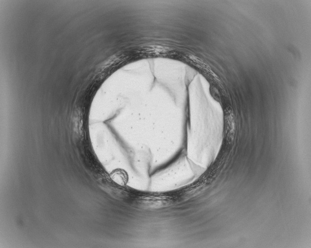 X0000115520615200912040930