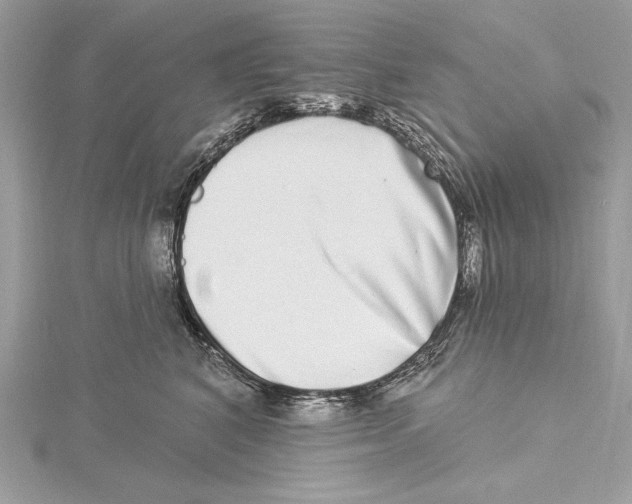 X0000115520616200912040930