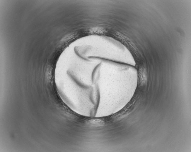 X0000115520619200912040930