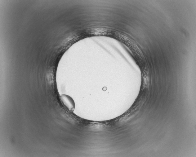 X0000115520620200912040930