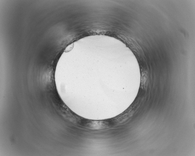 X0000115520623200912040930