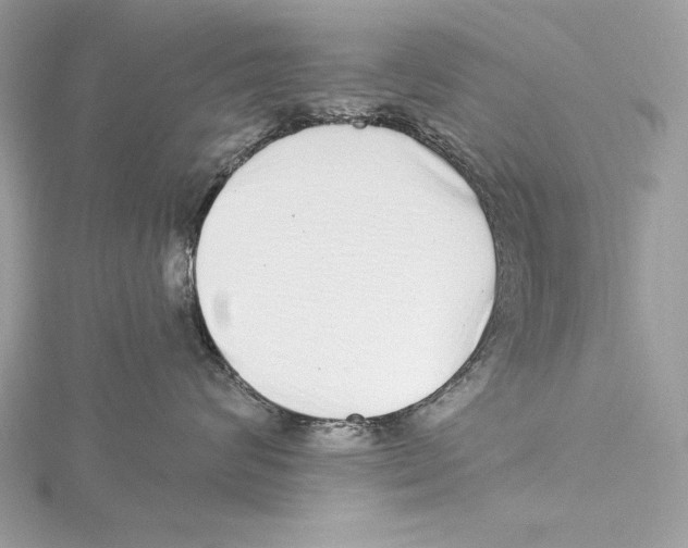 X0000115520624200912040930