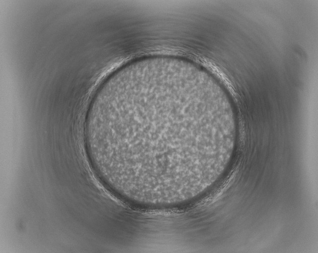 X0000115520625200912040929