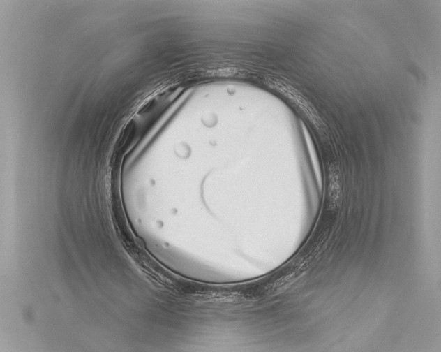 X0000115520626200912040929